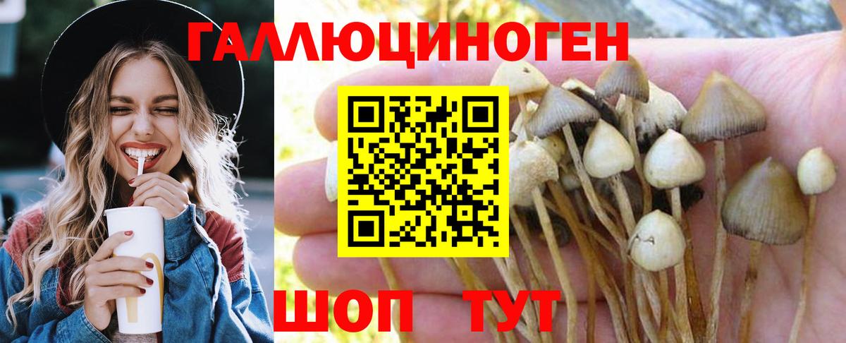 что такое наркотик  Галлюциногенные грибы мухоморы  Псилоцибиновые грибы Psilocybe  Вход с VPN  Белорецк 